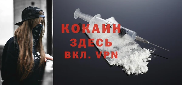 мдпв Тайга