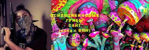 apvp Кукмор